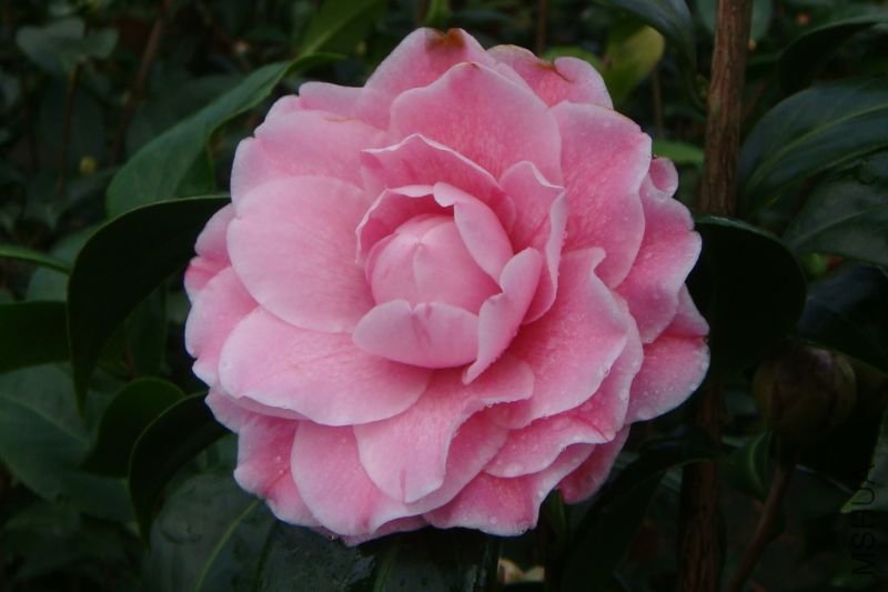 ���m��õ��