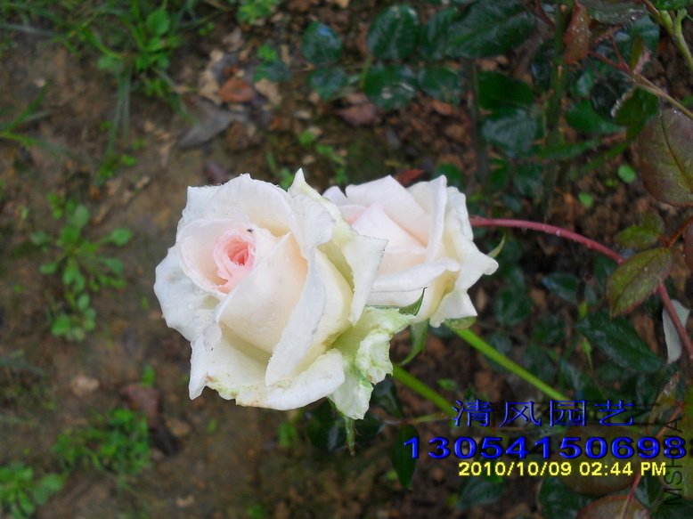 SDC1068211 (137).jpg