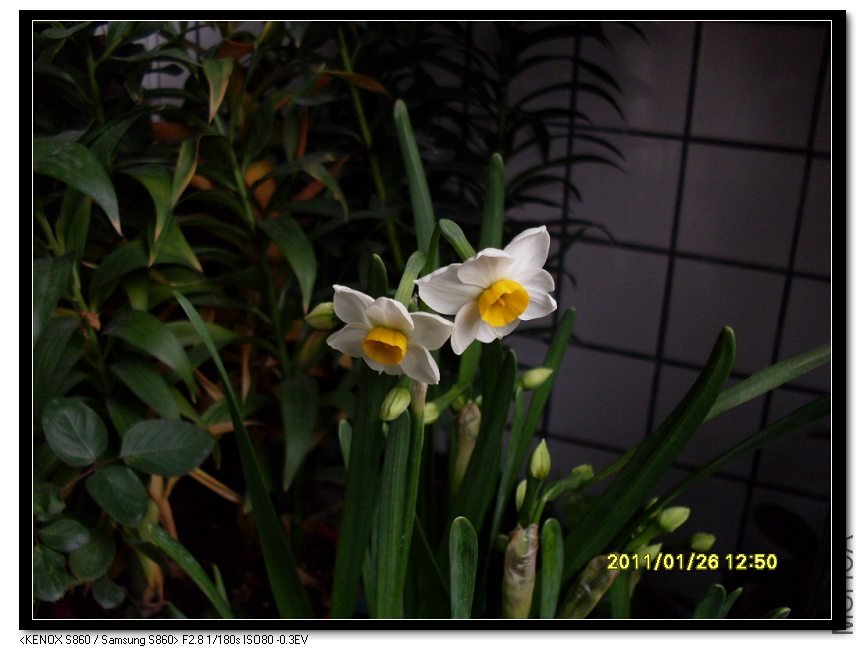 SDC16648_nEO_IMG.jpg