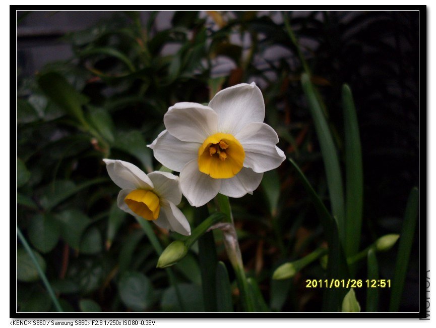 SDC16649_nEO_IMG.jpg