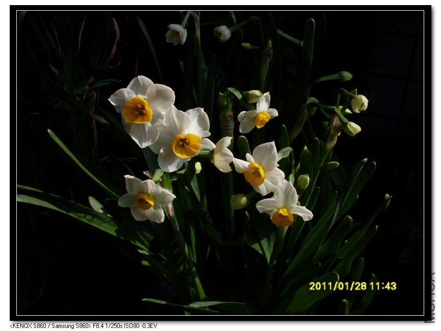 SDC16656_nEO_IMG.jpg