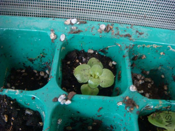 Ӳ�ҳ����ģ���Ը��ű�ҵ�