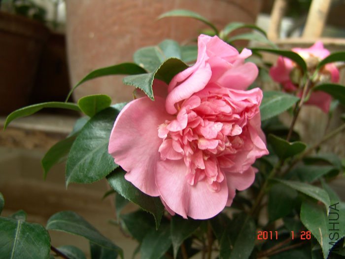 DSC09614.JPG