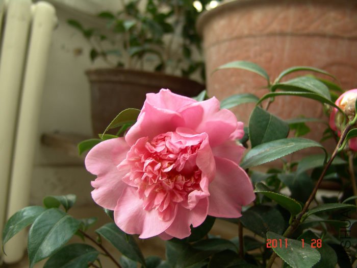 DSC09613.JPG