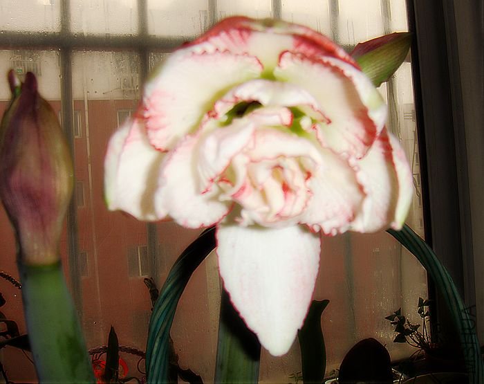 DSC06218.JPG