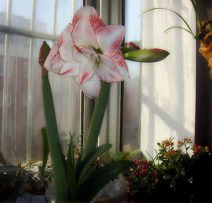 DSC06228.JPG