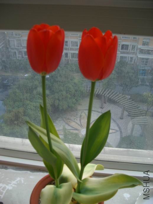 ������С ��ת CIMG0008.JPG