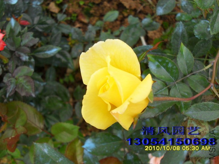 �ٽ�����1 (7).jpg