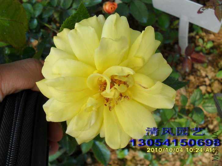 �ٽ�����1 (3).jpg