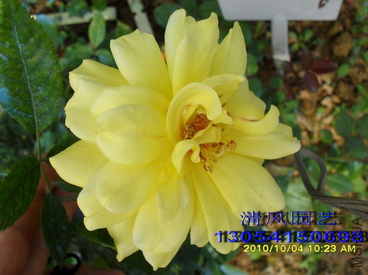 �ٽ�����1 (2).jpg