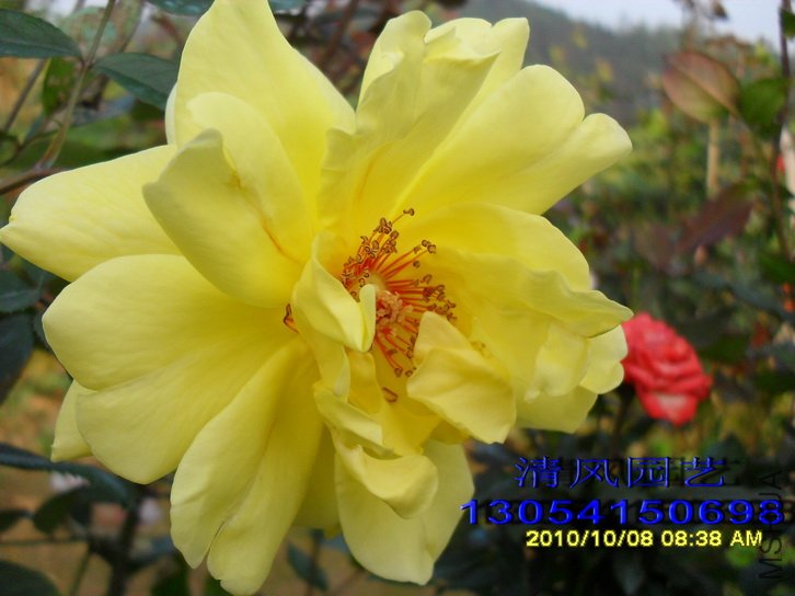 �ٽ�����1 (4).jpg