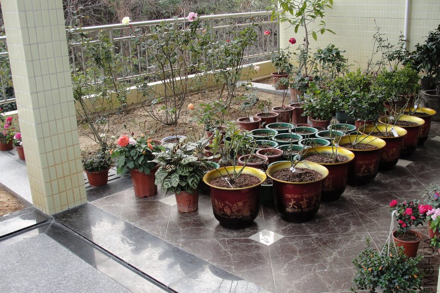 DSC04928-1.jpg