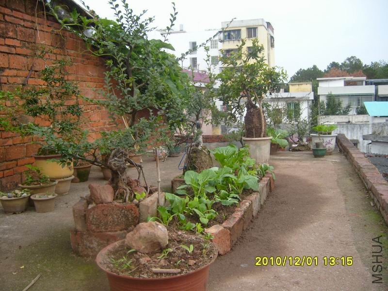 ������С S7002731.JPG