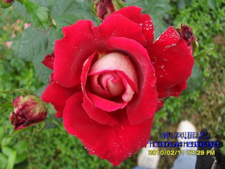 �����Ѿ� (3).jpg