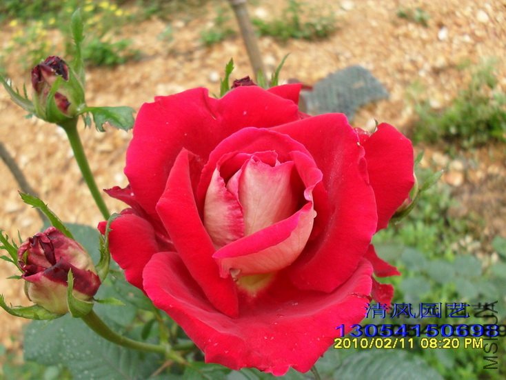 �����Ѿ� (5).jpg