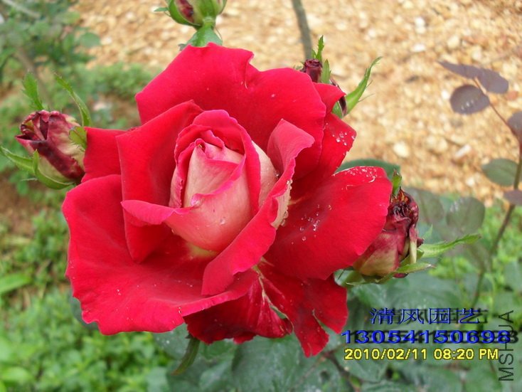 �����Ѿ� (7).jpg