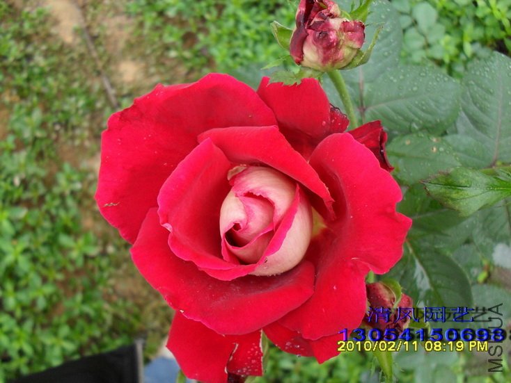 �����Ѿ� (4).jpg