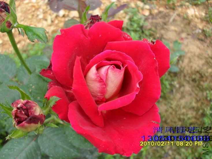 �����Ѿ� (6).jpg