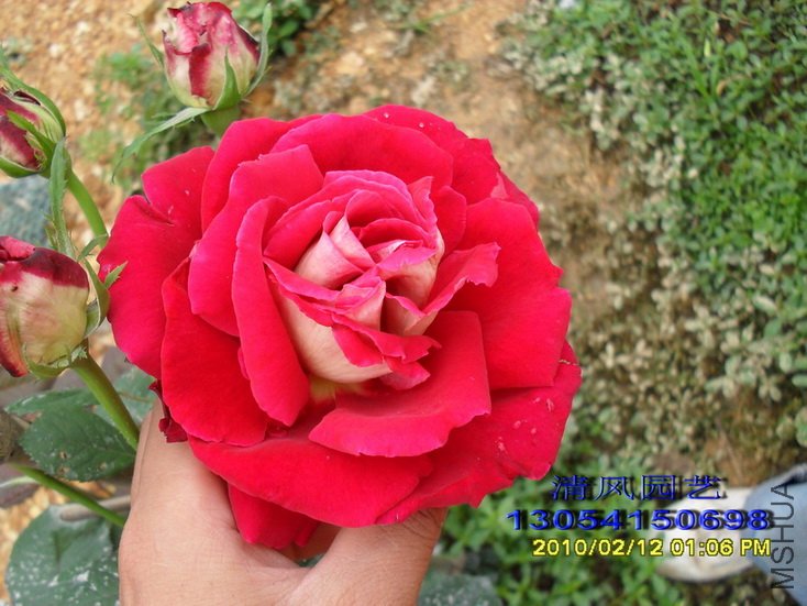 �����Ѿ� (1).jpg