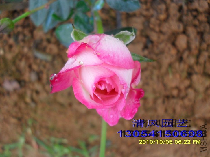 �ճ����� (2).jpg