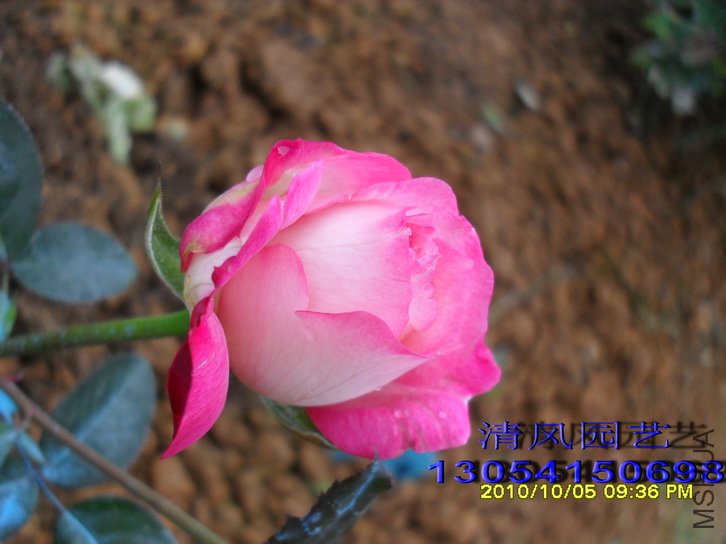 �ճ����� (3).jpg