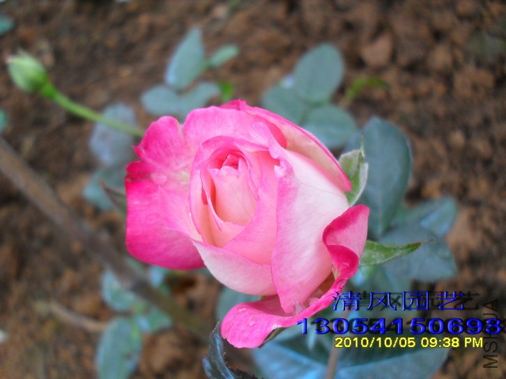 �ճ����� (4).jpg