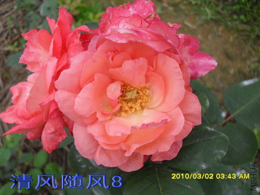 �ٷ۱�11 (5).jpg