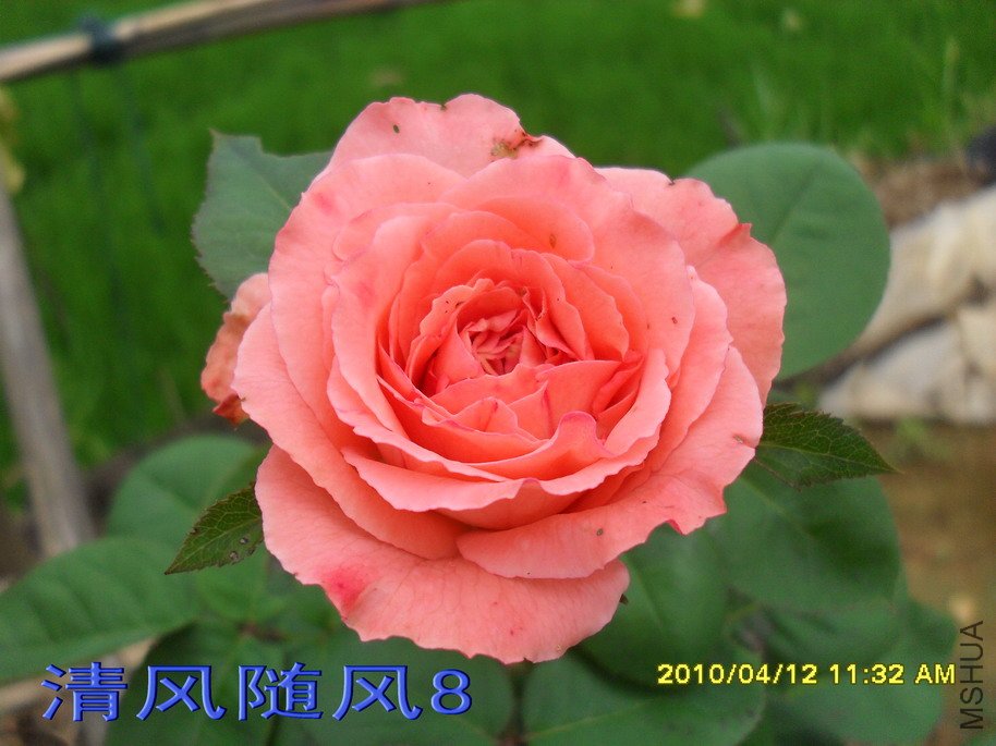 �ٷ۱�11 (8).jpg