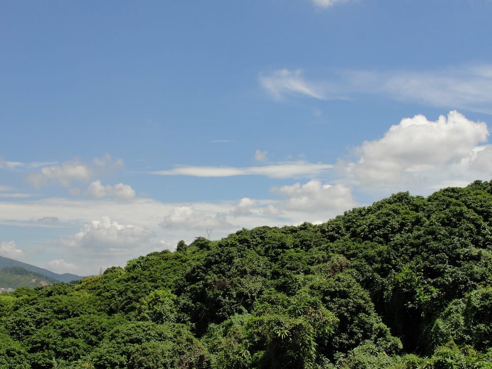 DSC02083-1.jpg