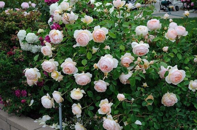 ���ʵ���� (1).jpg