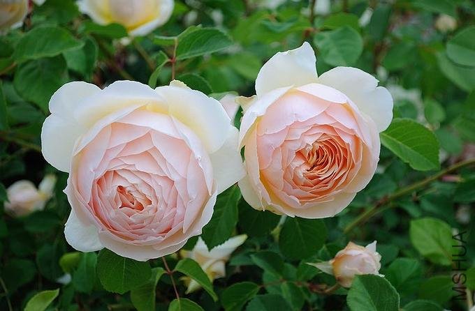 ���ʵ���� (2).jpg