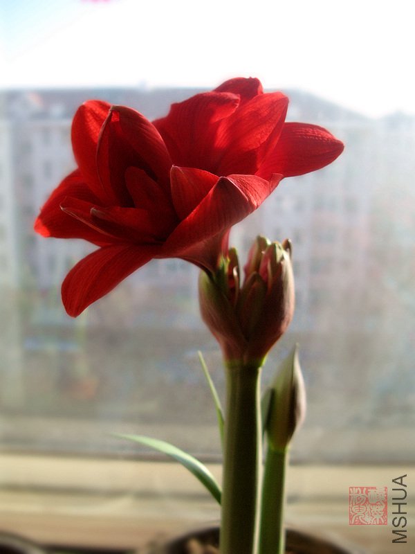 IMG_7472.jpg