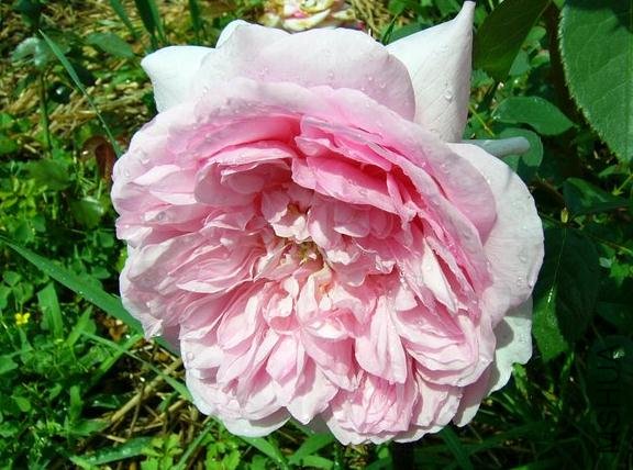 ����������� (3).jpg