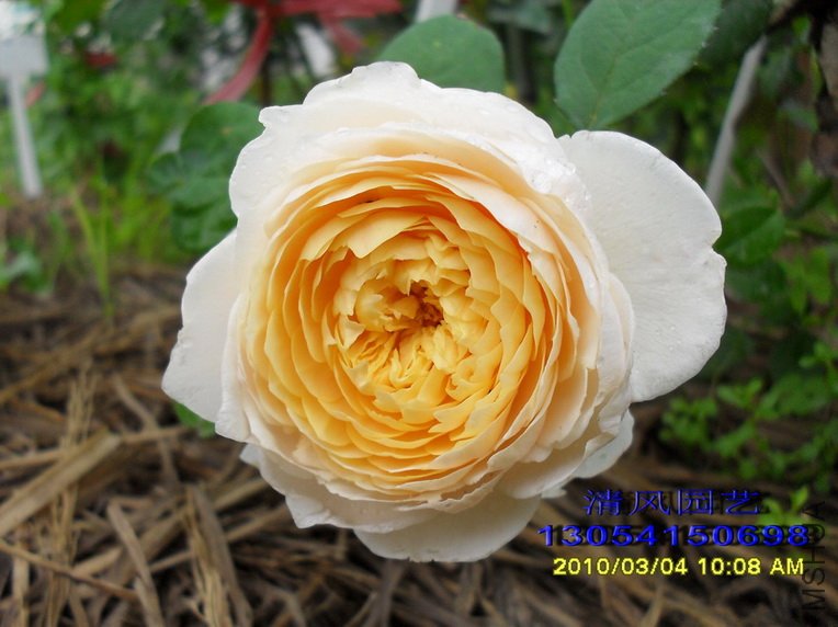 ������11 (1).jpg