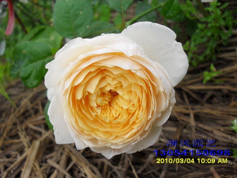 ������11 (2).jpg