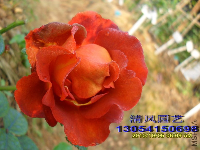 ����ʱ�� (3).jpg