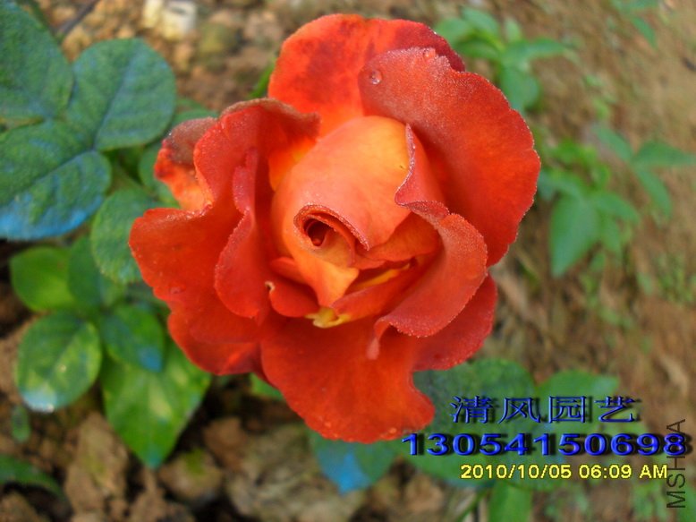 ����ʱ�� (2).jpg