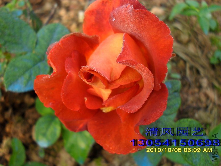 ����ʱ�� (4).jpg