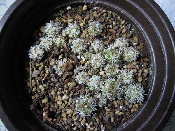 IMG_0368.JPG