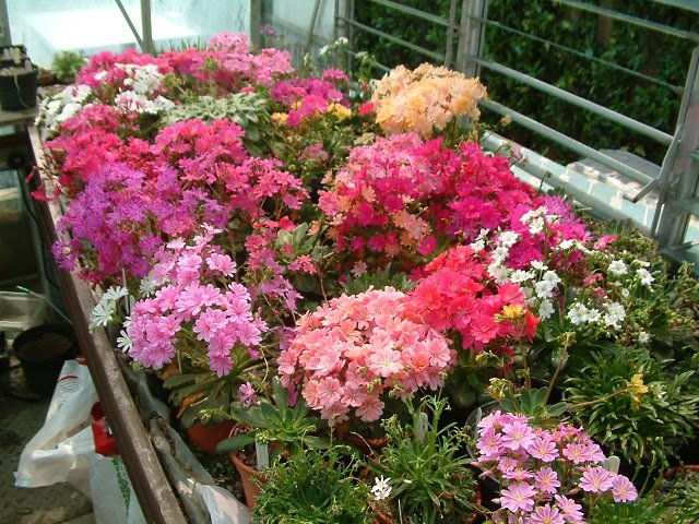 01[1].07-2005 046.jpg