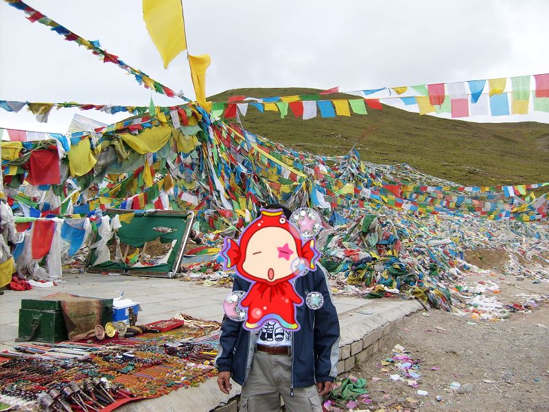 65.jpg