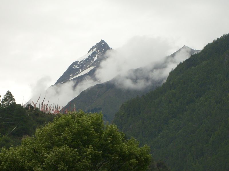 68.jpg