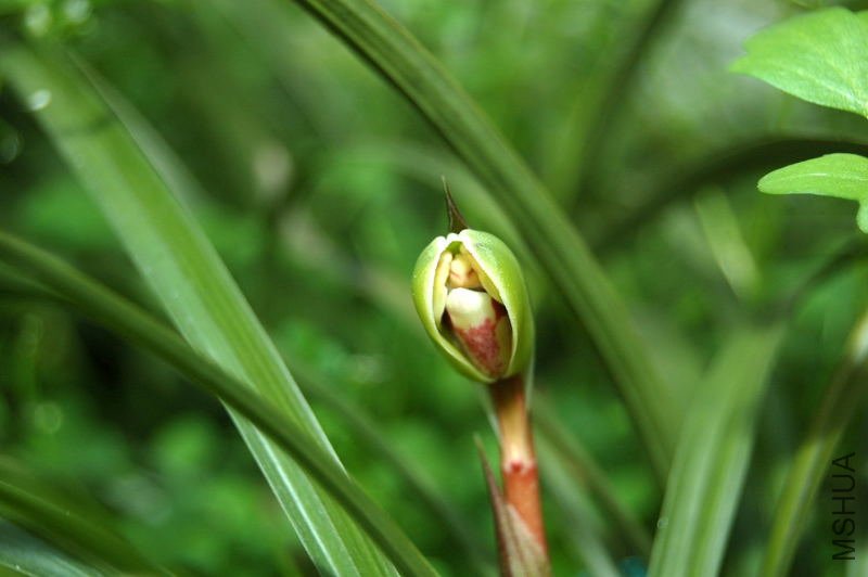 DSC_00030003_1.JPG
