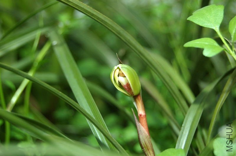 DSC_00010001_1.JPG