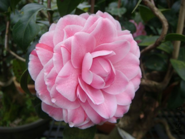 ���m��õ��