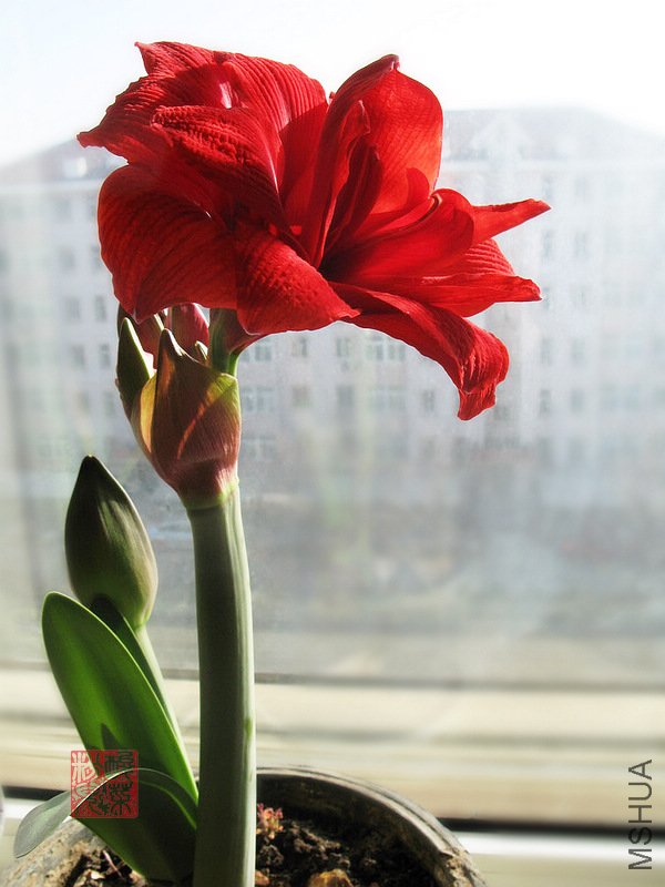 IMG_7541.jpg