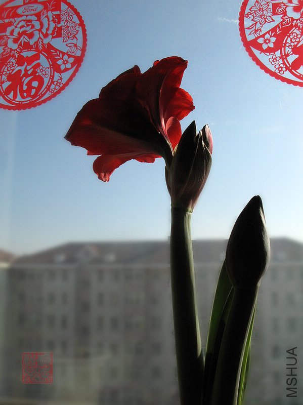IMG_7567.jpg