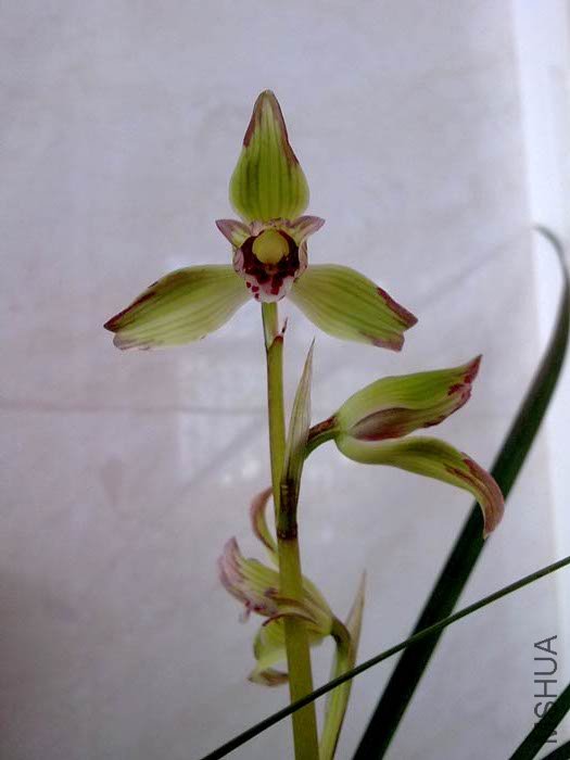 201102022489.jpg