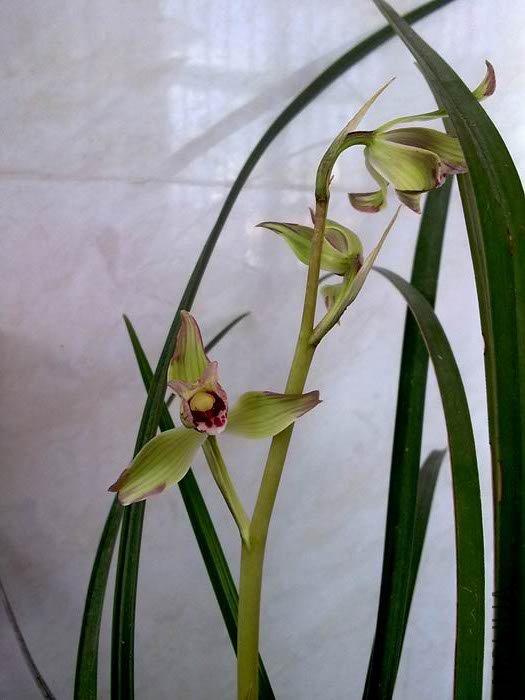 201102022491.jpg