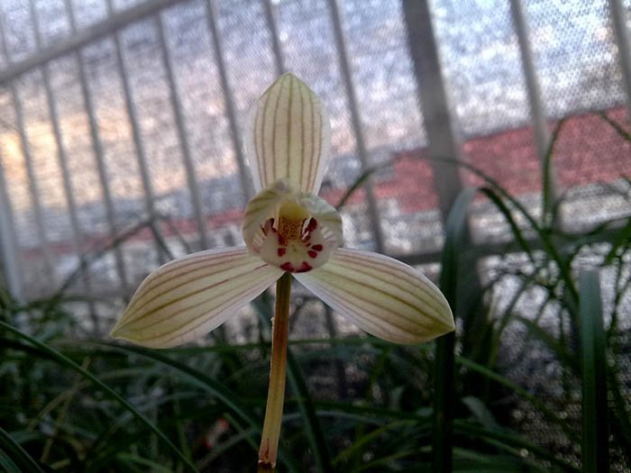 201102012484.jpg